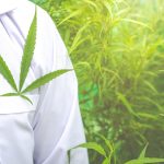 Online Marijuana Evaluations