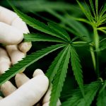 Online Marijuana Evaluation in Connecticut